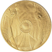 1 oz 2023 Gold Elephant "Big 5 Series"